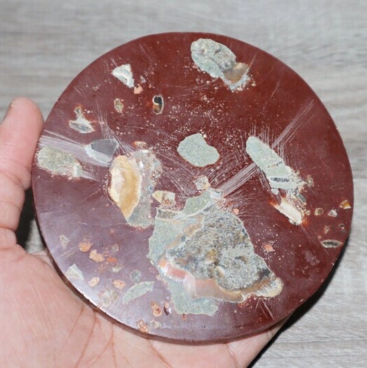 Ammonite Fossil Plate Coaster